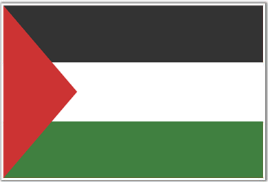 [palestine-flag.gif]