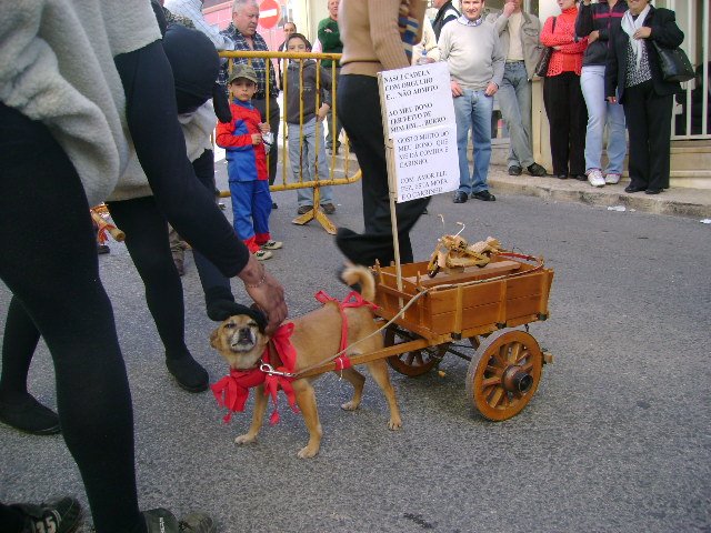 [DSC02819.JPG]