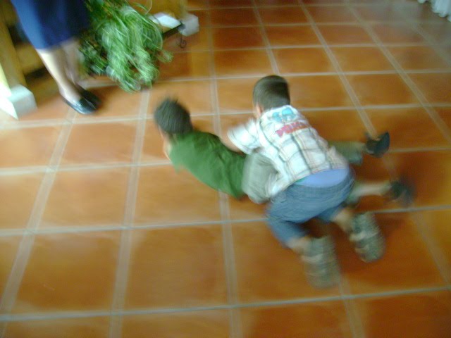 [DSC04525.JPG]