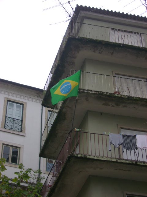 [DSC04742.JPG]