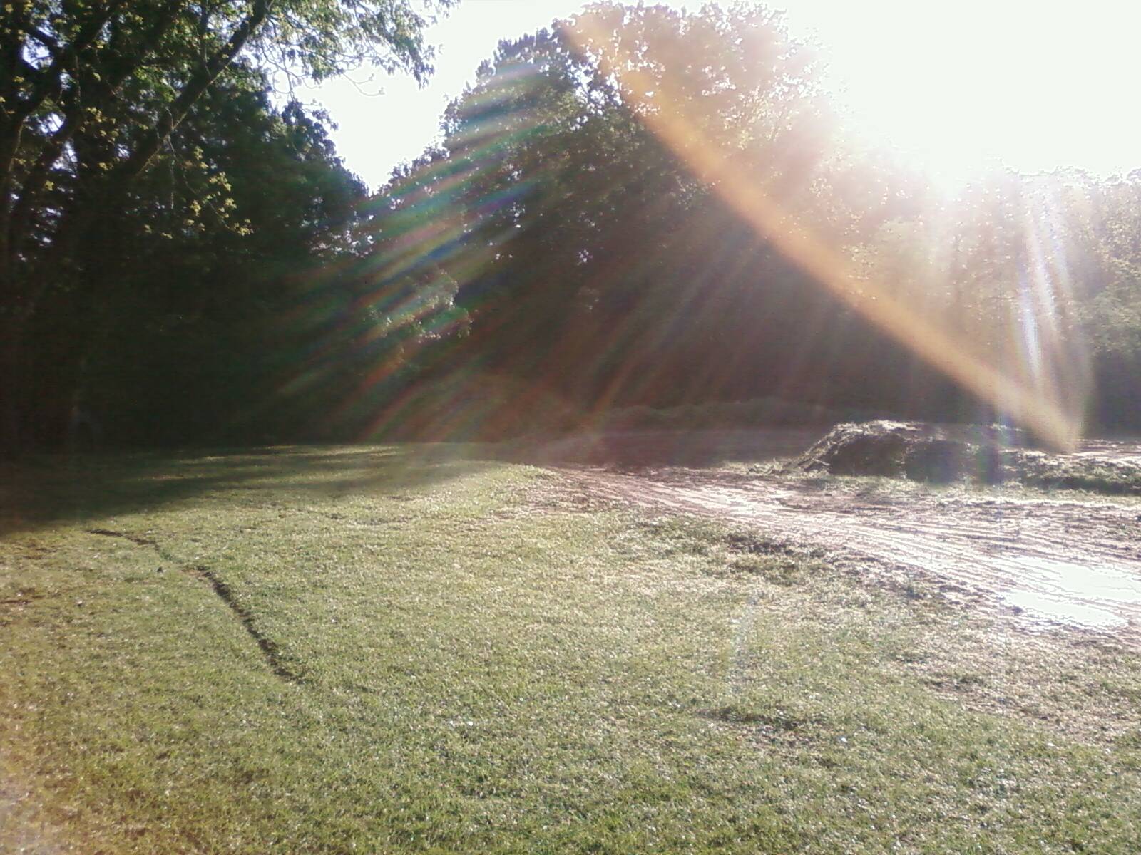 [PIC-0026-766274.jpg]