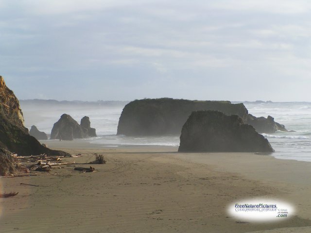 [beachwithrockoutcrops.jpg]