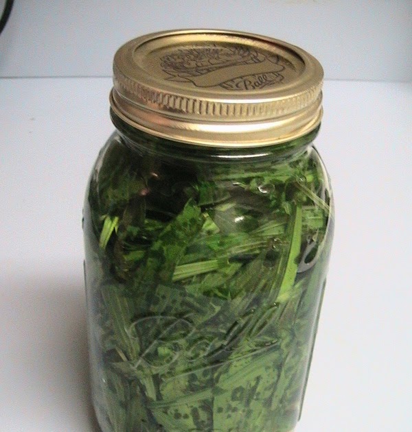 Weathertop Foodie Recipes Making CatnipFennel Tincture