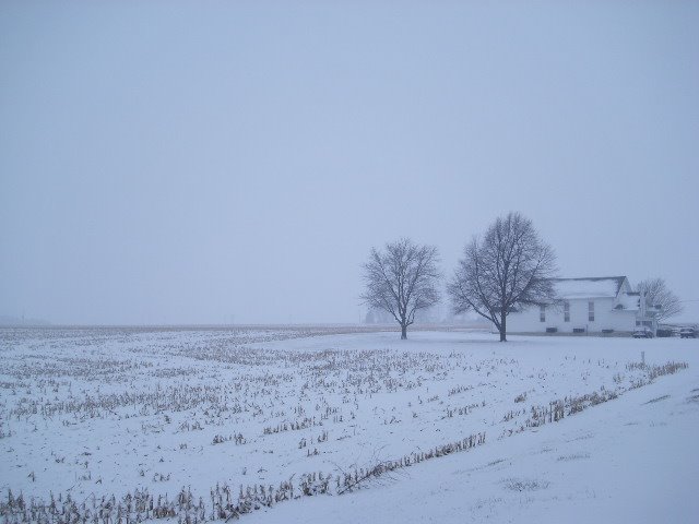 [DSCI0089.JPG]