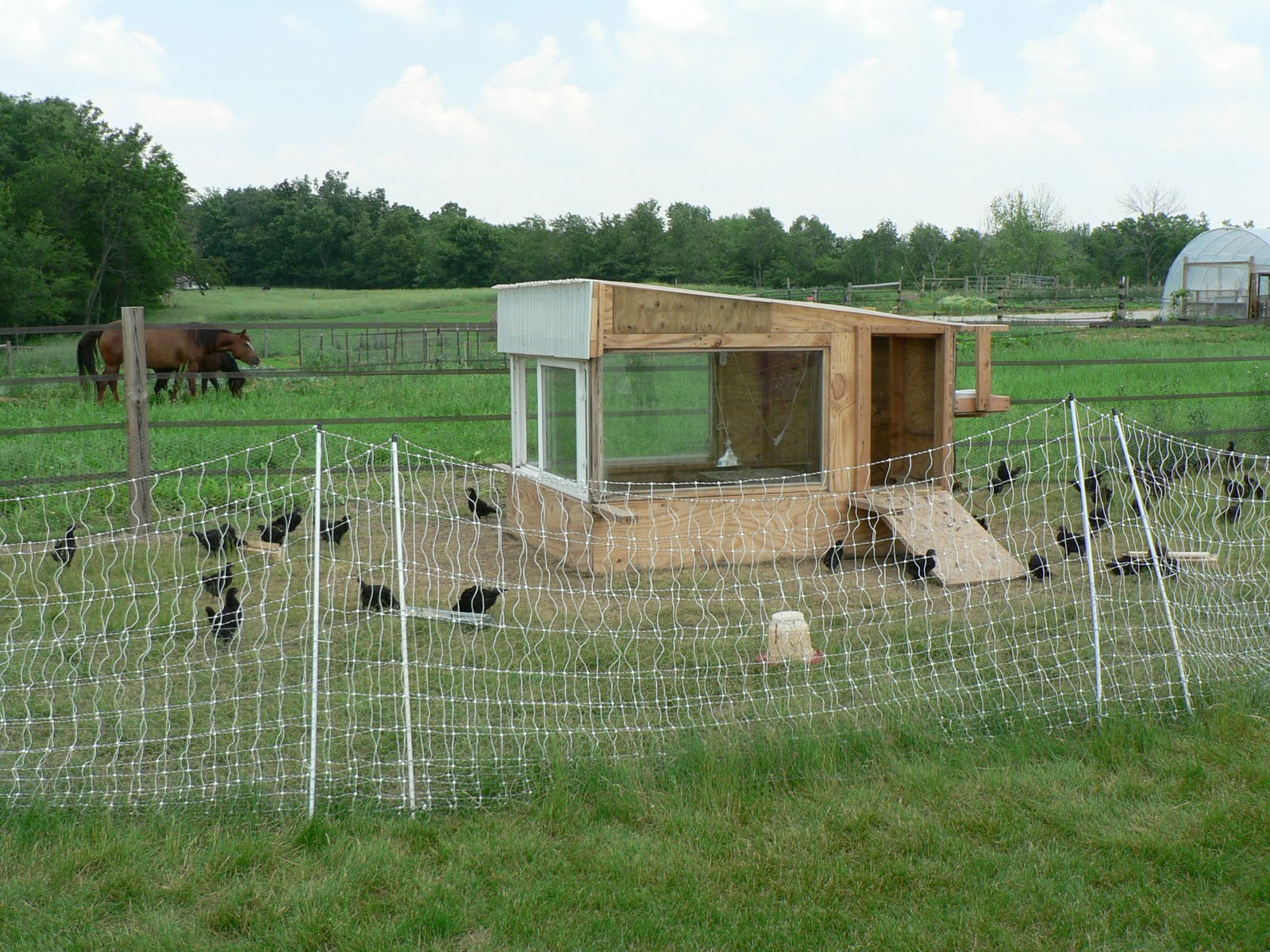 Epiphany Farms Three Vegas Chefs Take on Farming in Rural Illinois
