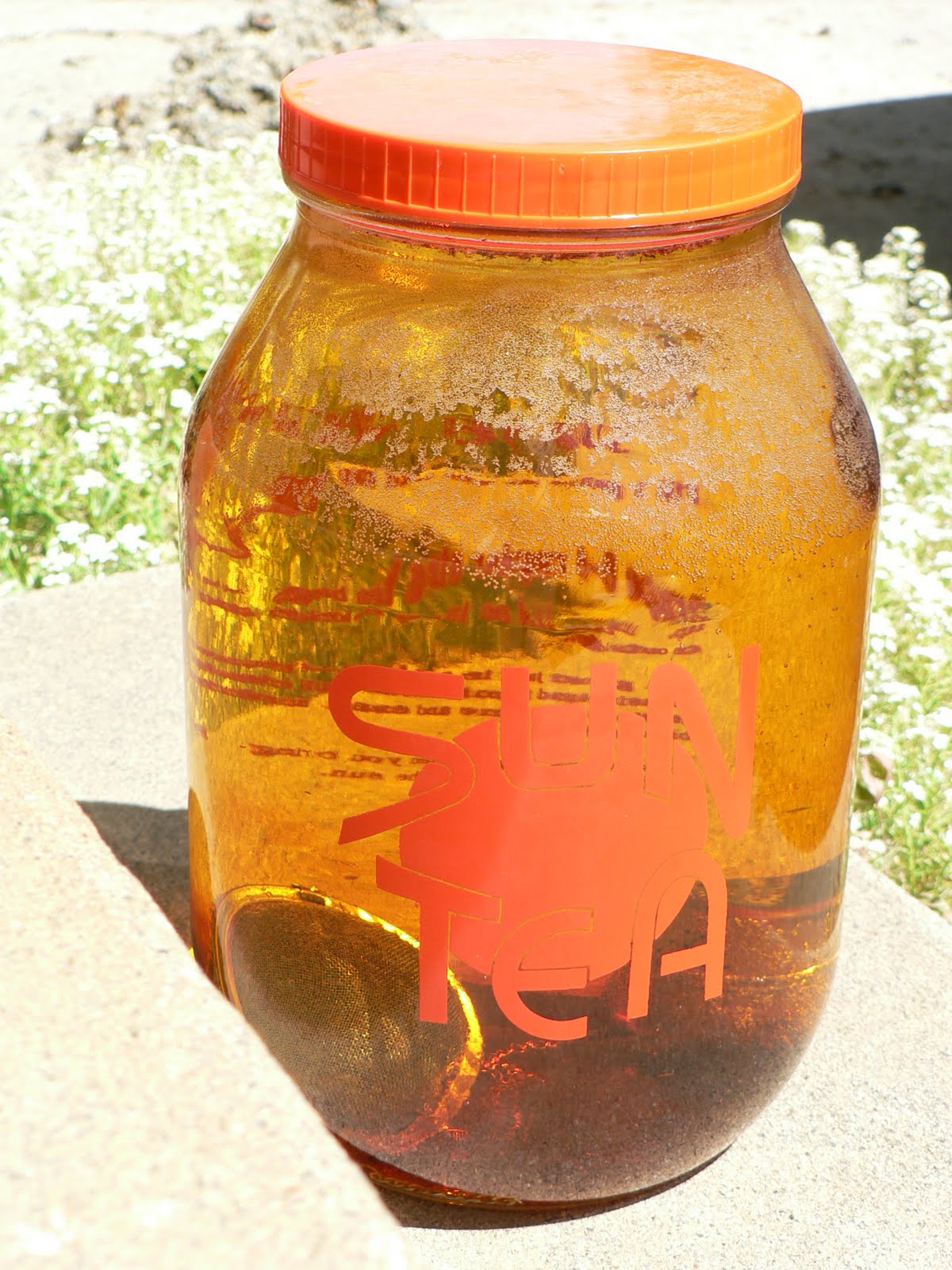 Thumbnail image for Sun Tea: A Timeless Summer Recipe