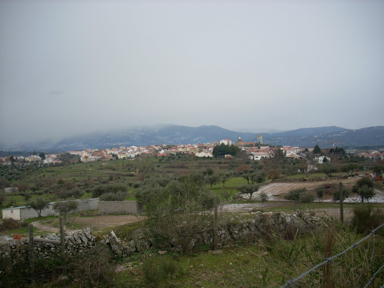 [DSCN0870.JPG]
