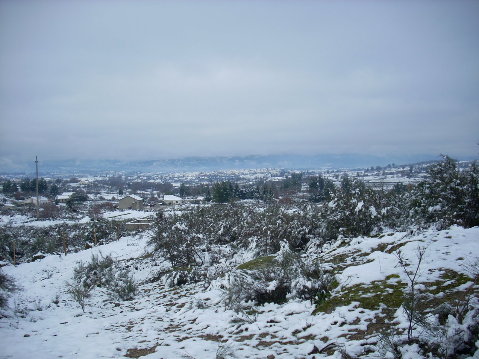 [DSCN0930.JPG]