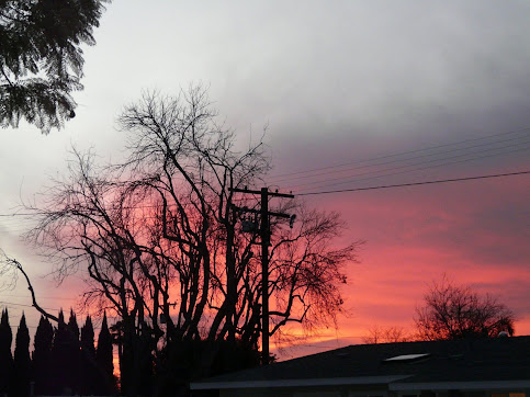 The Sun Setting from My Front Yard