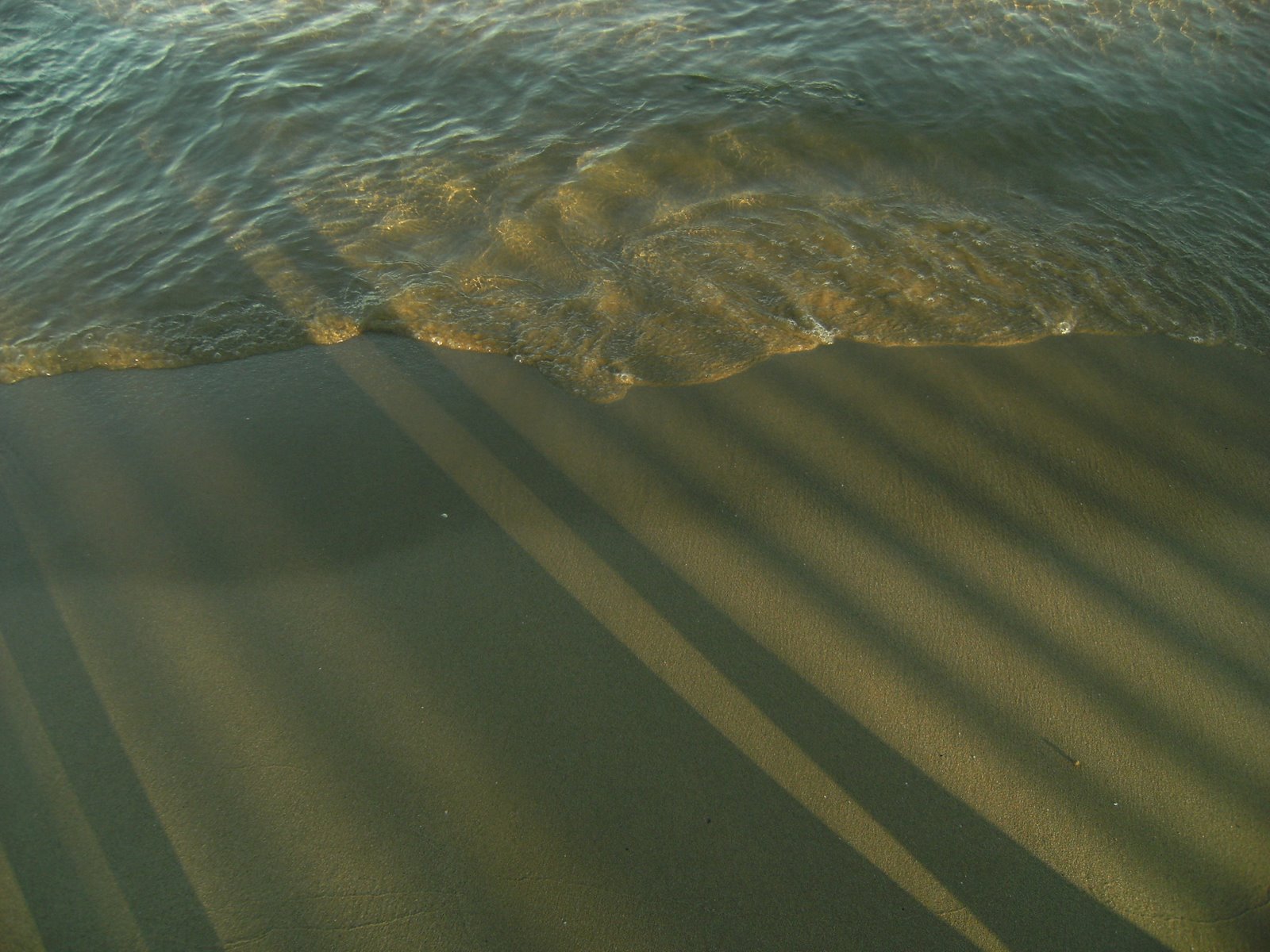[DSCF9126.JPG]