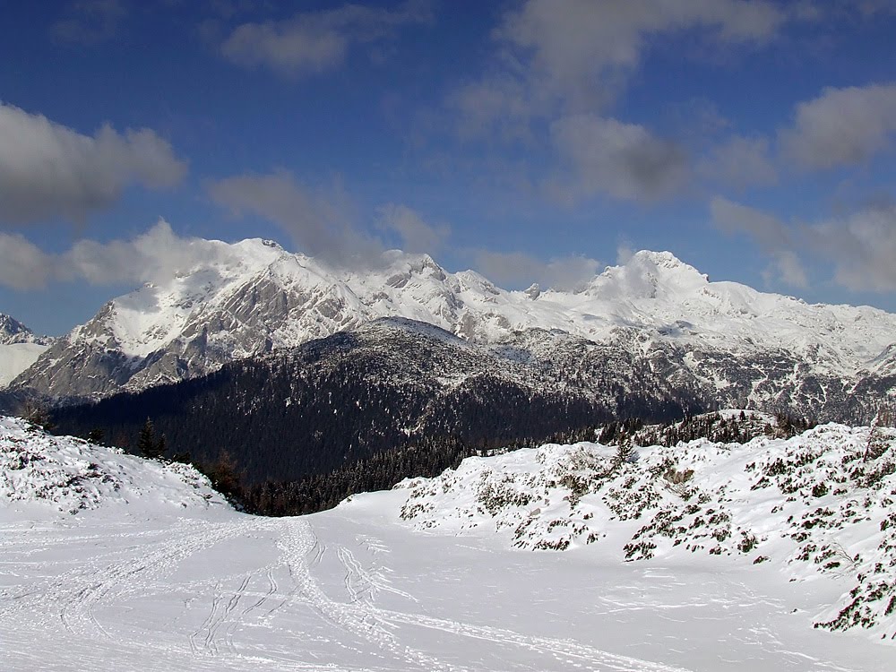 [DSCF8923.jpg]