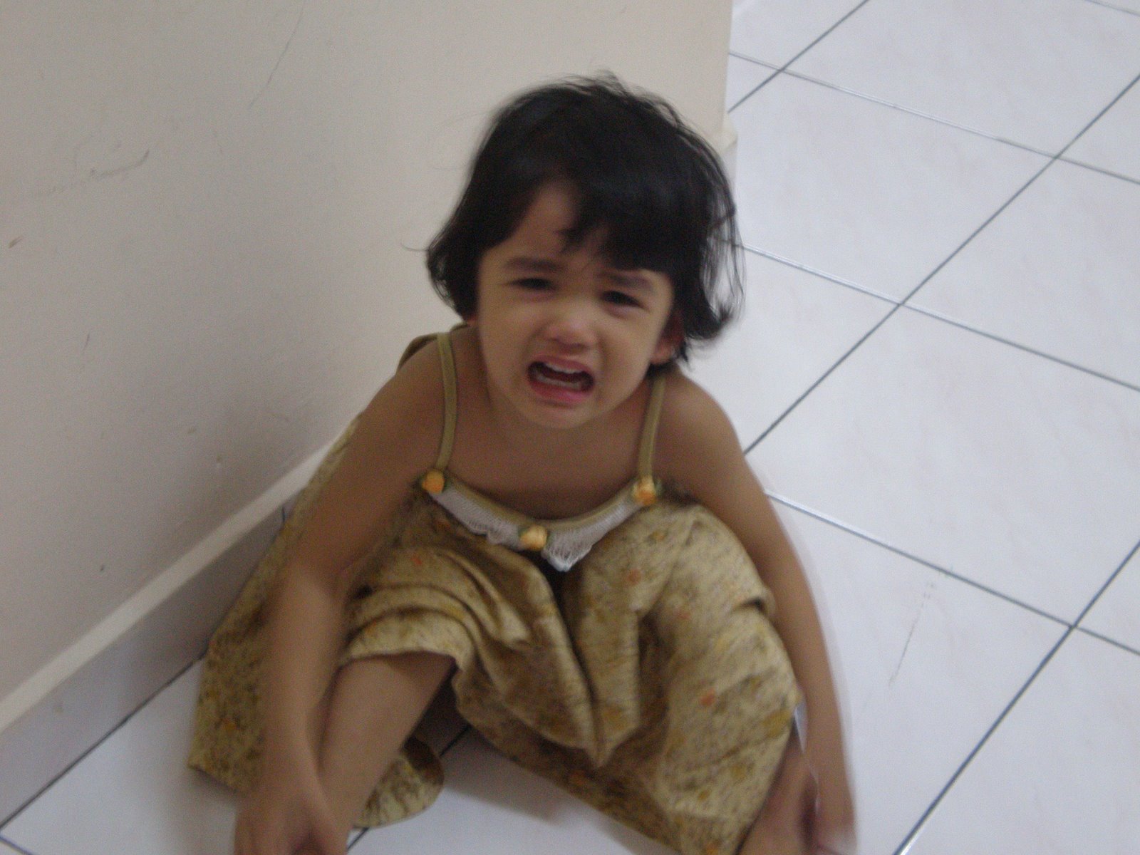 [P7020007.JPG]