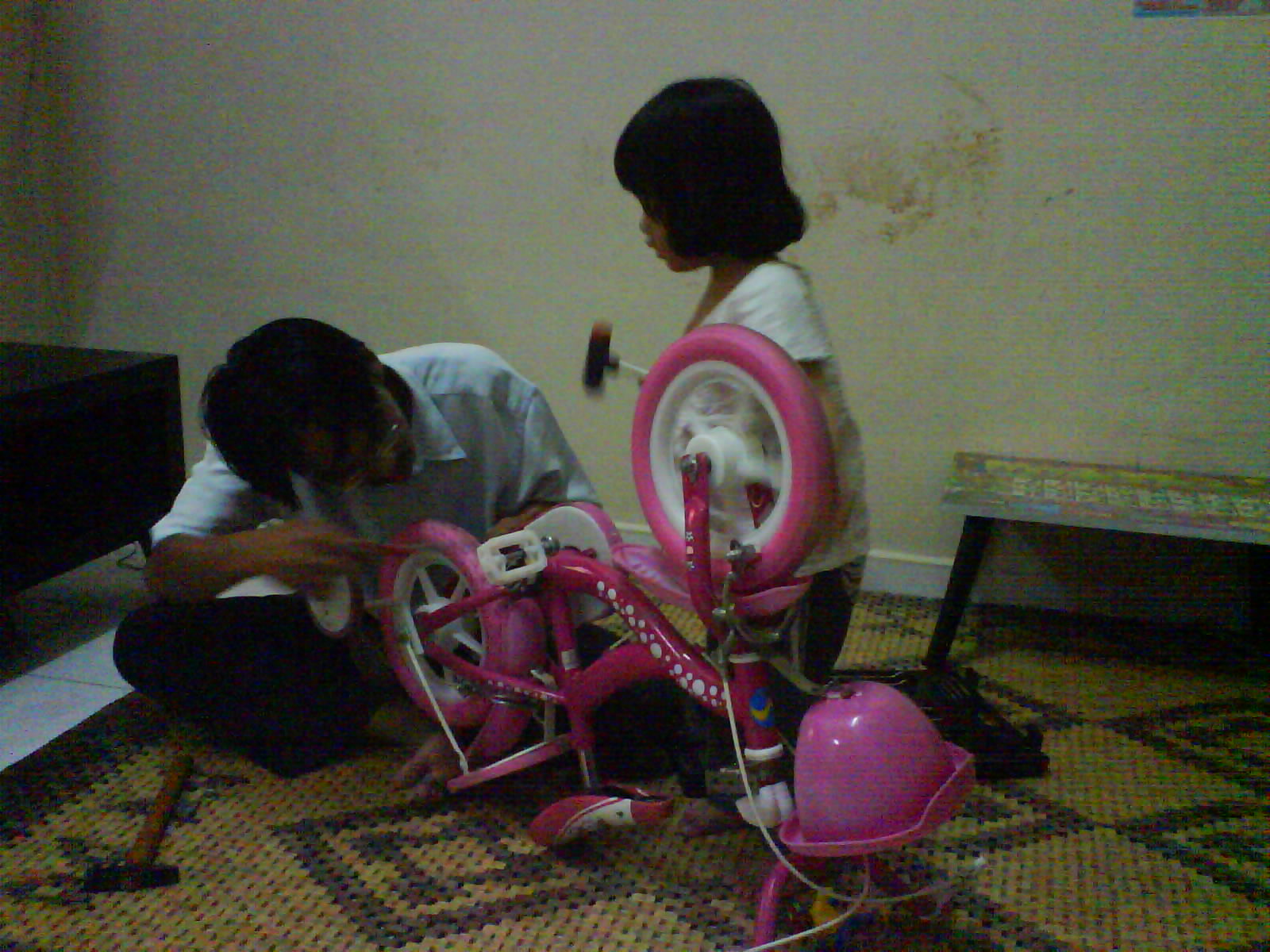 [DSC00296.JPG]