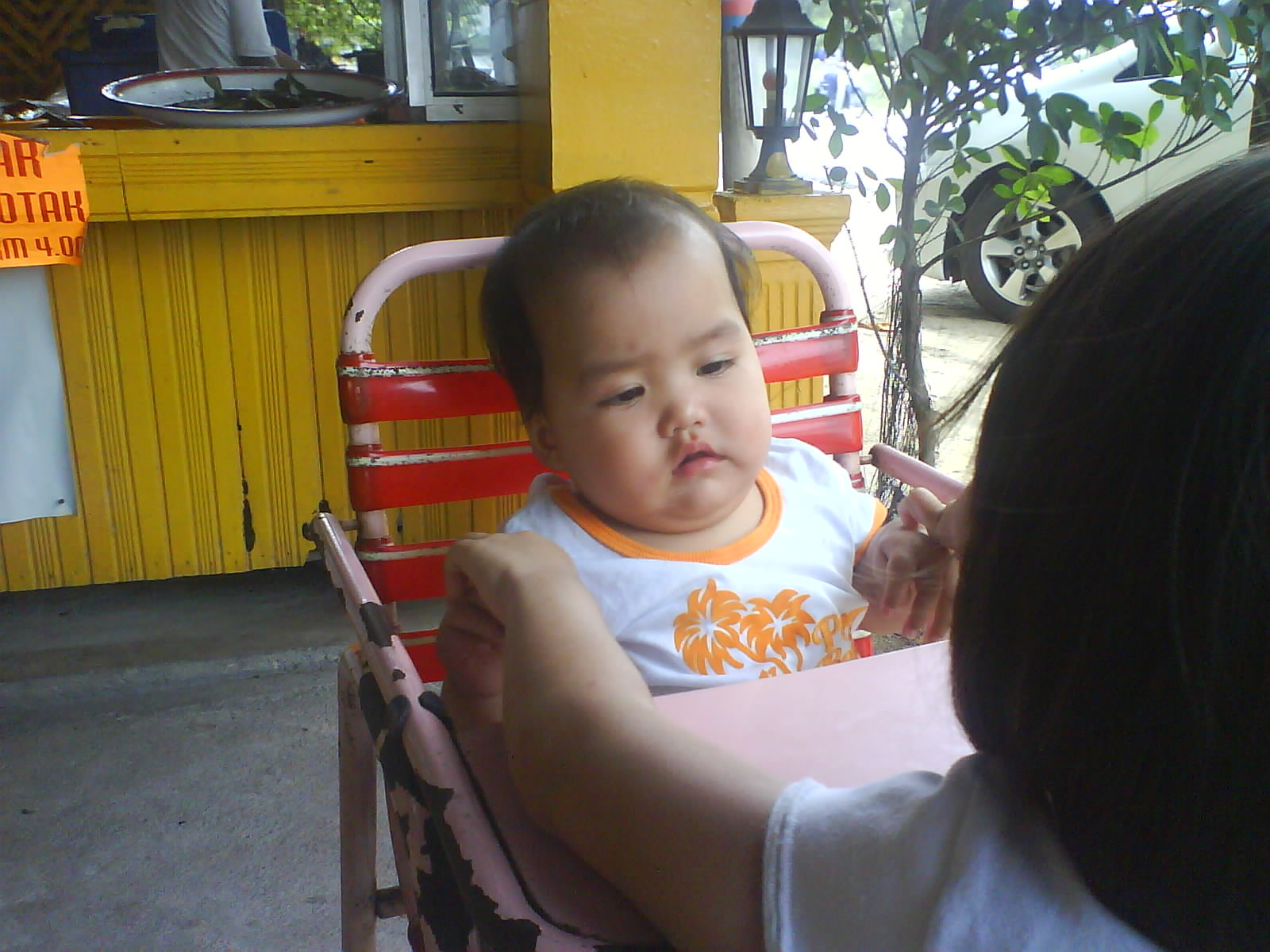 [DSC00445.JPG]