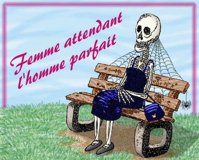 Je cherche l'homme parfait