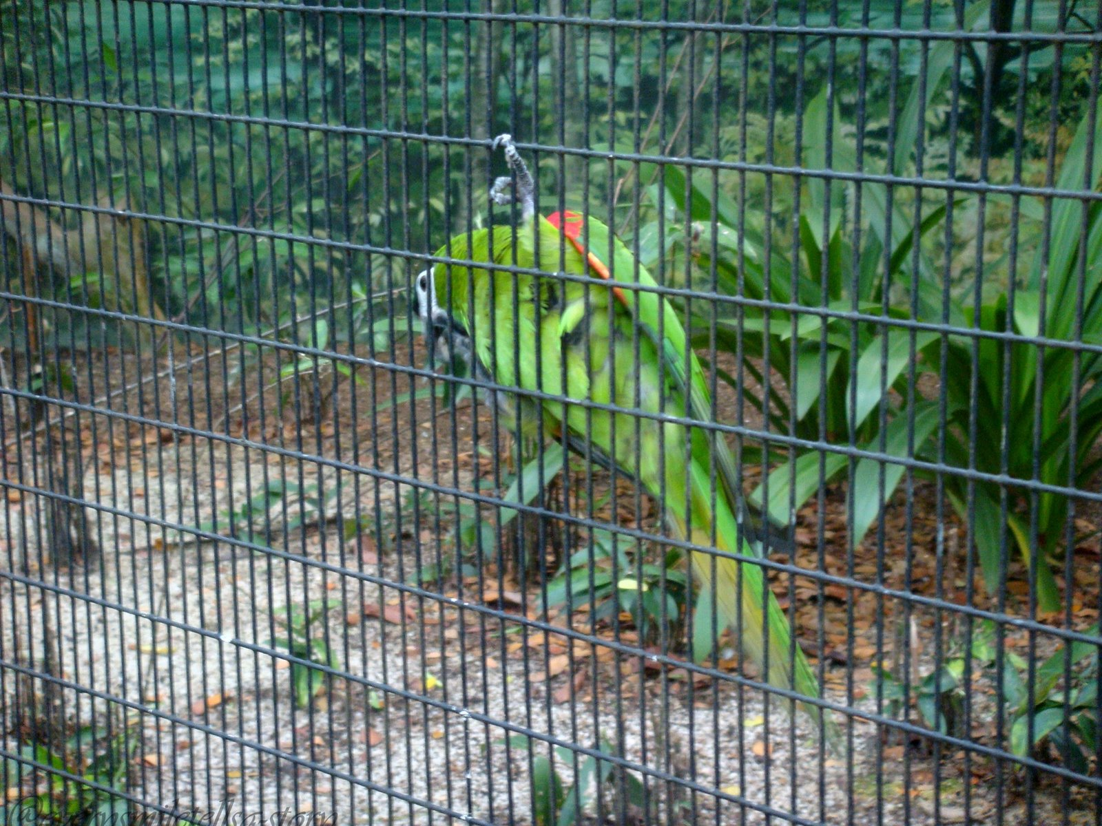 [DSC08503.JPG]