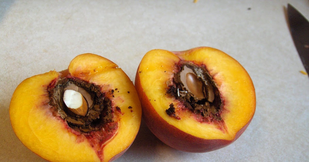 How Sweet The Sound The Perilous Peach Pit