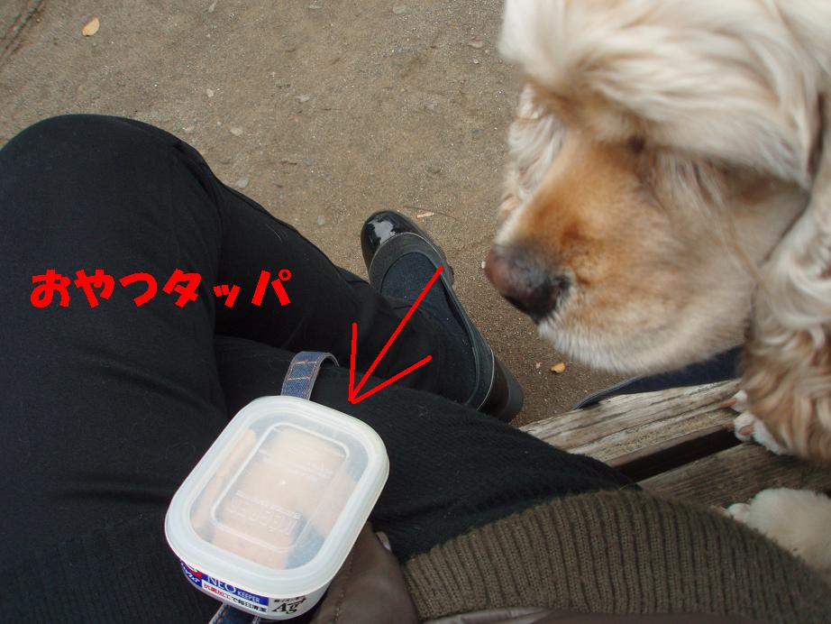 [11.JPG]