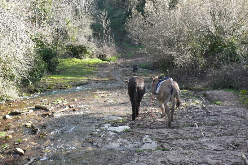 [excursionlargaburras_7.JPG]