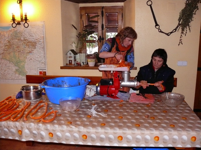 [P1060776_redimensionar.JPG]