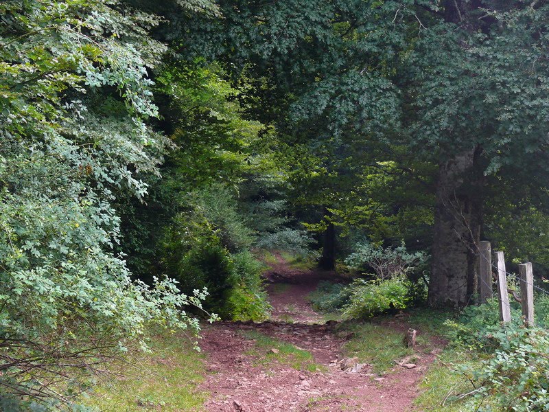 [entrenieblas+arrieta_14.JPG]