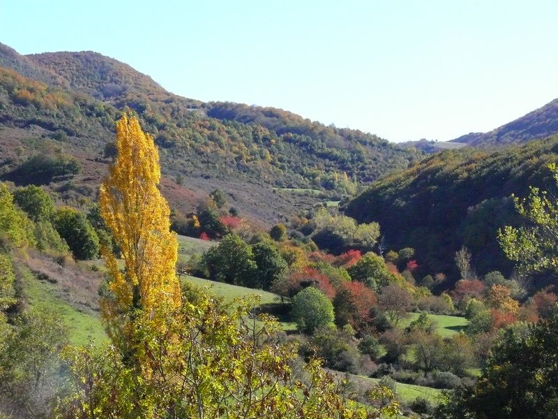 [otoñadatentación_4.JPG]