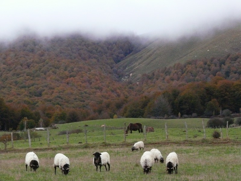 [otoñadatentación_3.JPG]