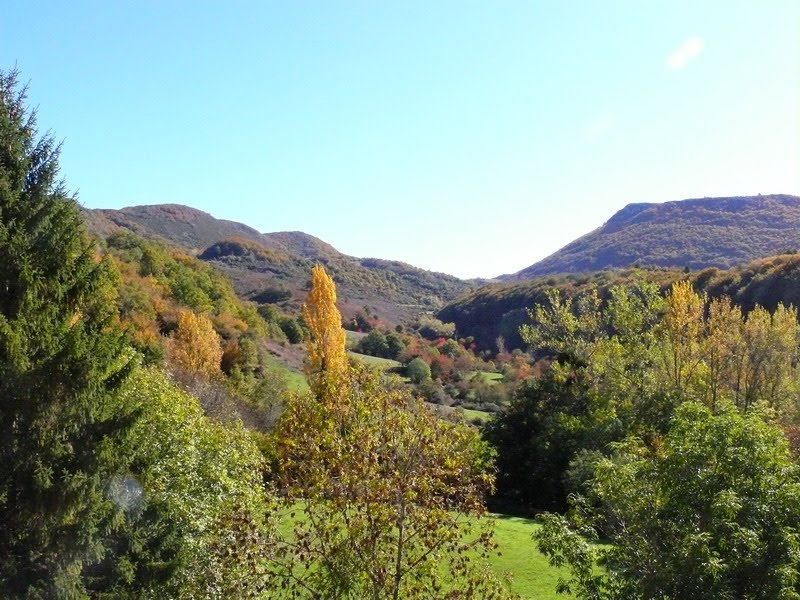 [otoñadatentación_5.JPG]