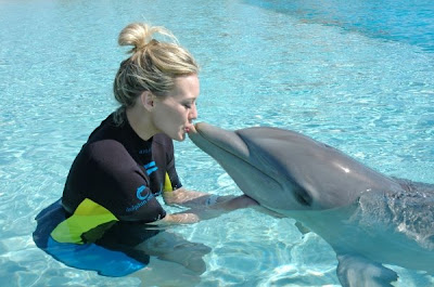 Delfines Besandose