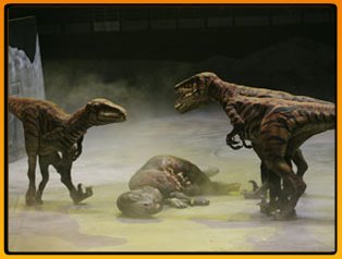 [raptors.bmp]