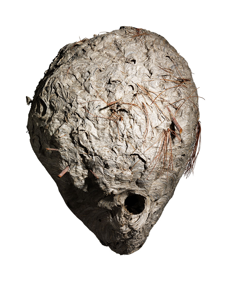 Command P: February 2011