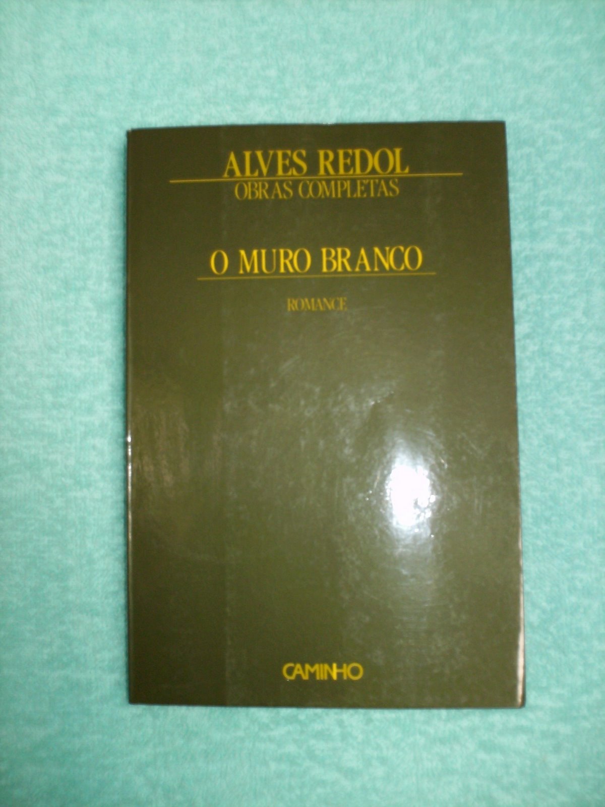 [livro.JPG]