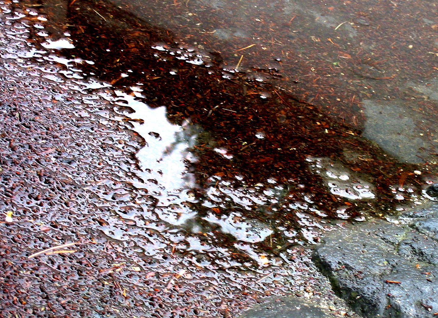 [IMG_4958.JPG]