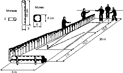 [imagen-caliche.gif]