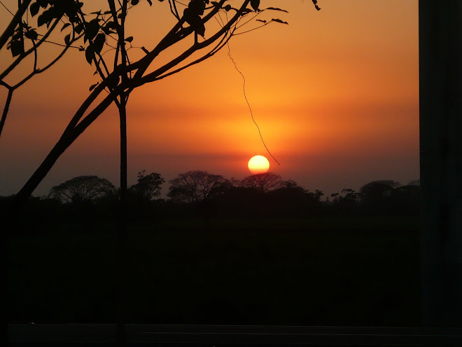 Candente Atardecer