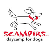 Scampers Daycamp for Dogs