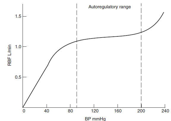 renal autoregulation Autoregulation is a mechanism that ensures constant blood flow to organs, despite changing resistance returns renal blood flow and gfr back to normal lungs. renal autoregulation Autoregulation is a mechanism that ensures constant blood flow to organs, despite changing resistance returns renal blood flow and gfr back to normal lungs.