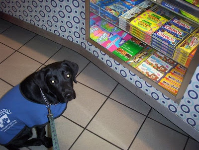HRH Berkeley is looking up at the camera as she sits besides a movie theater snack display.