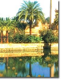 pour satisfaire votre mari soyez des prostituées obéissantes