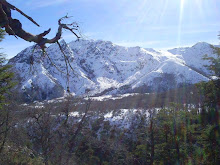 Reserva Altos del Lircay