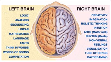 [brain+function.bmp]
