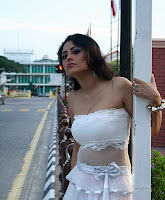 Meenakshi Sexy Stills from Telugu Movie Gang War sexy stills