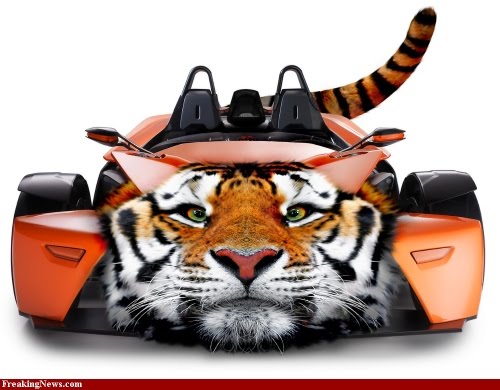 http://2.bp.blogspot.com/_WUpuqsdvfeM/TGSD77q0DcI/AAAAAAAADro/zGltpUK_oYw/s640/Bengal-Tiger-Sports-Car.jpg