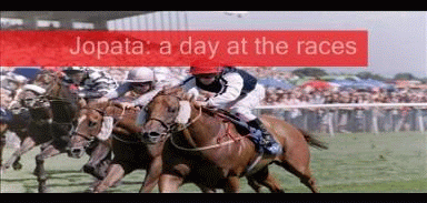 A day at the races