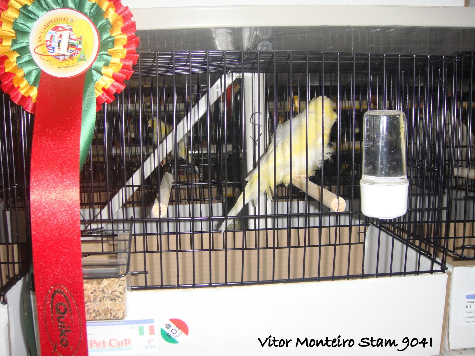 [DSC01449.JPG]