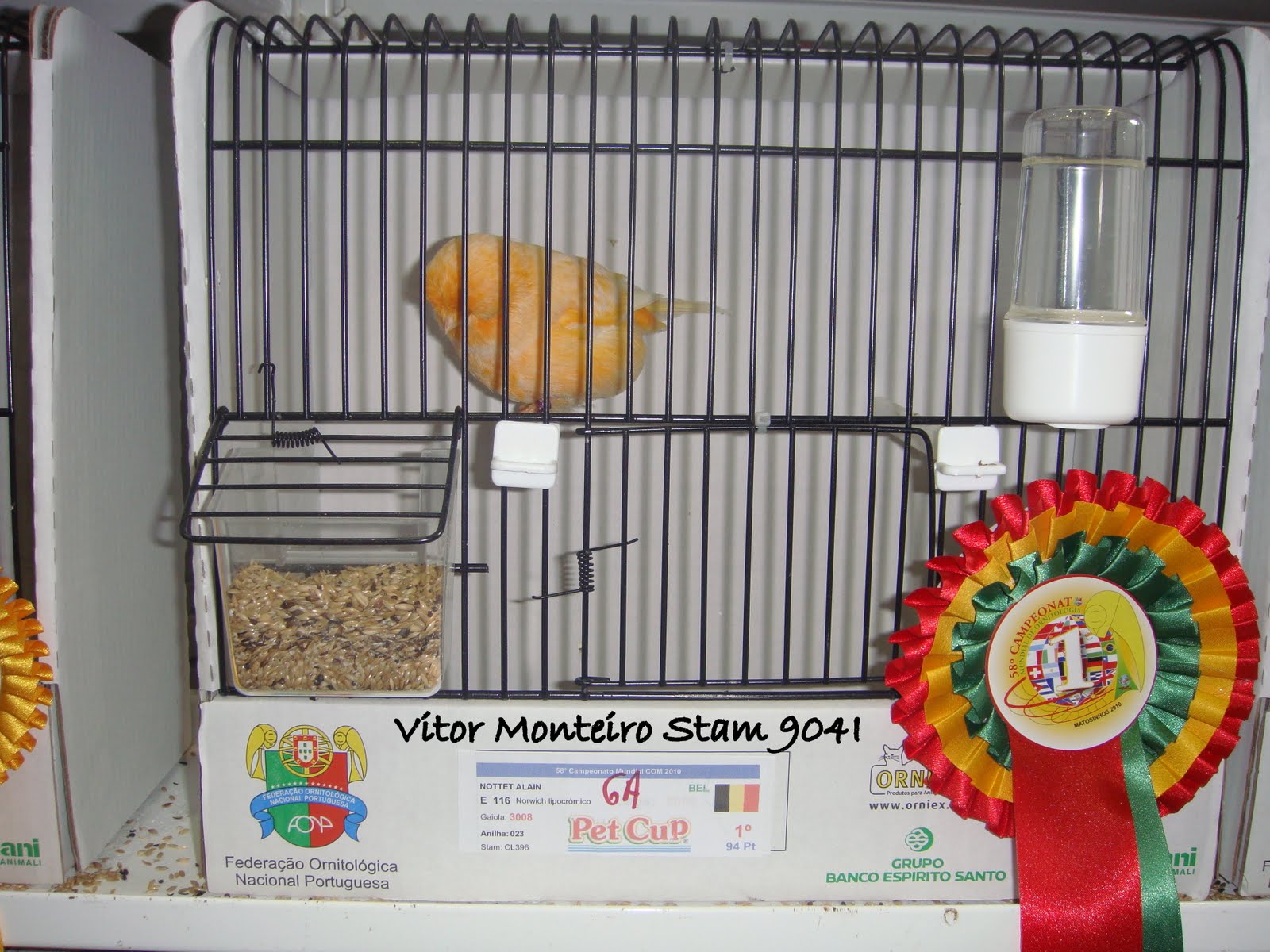 [DSC01433.JPG]