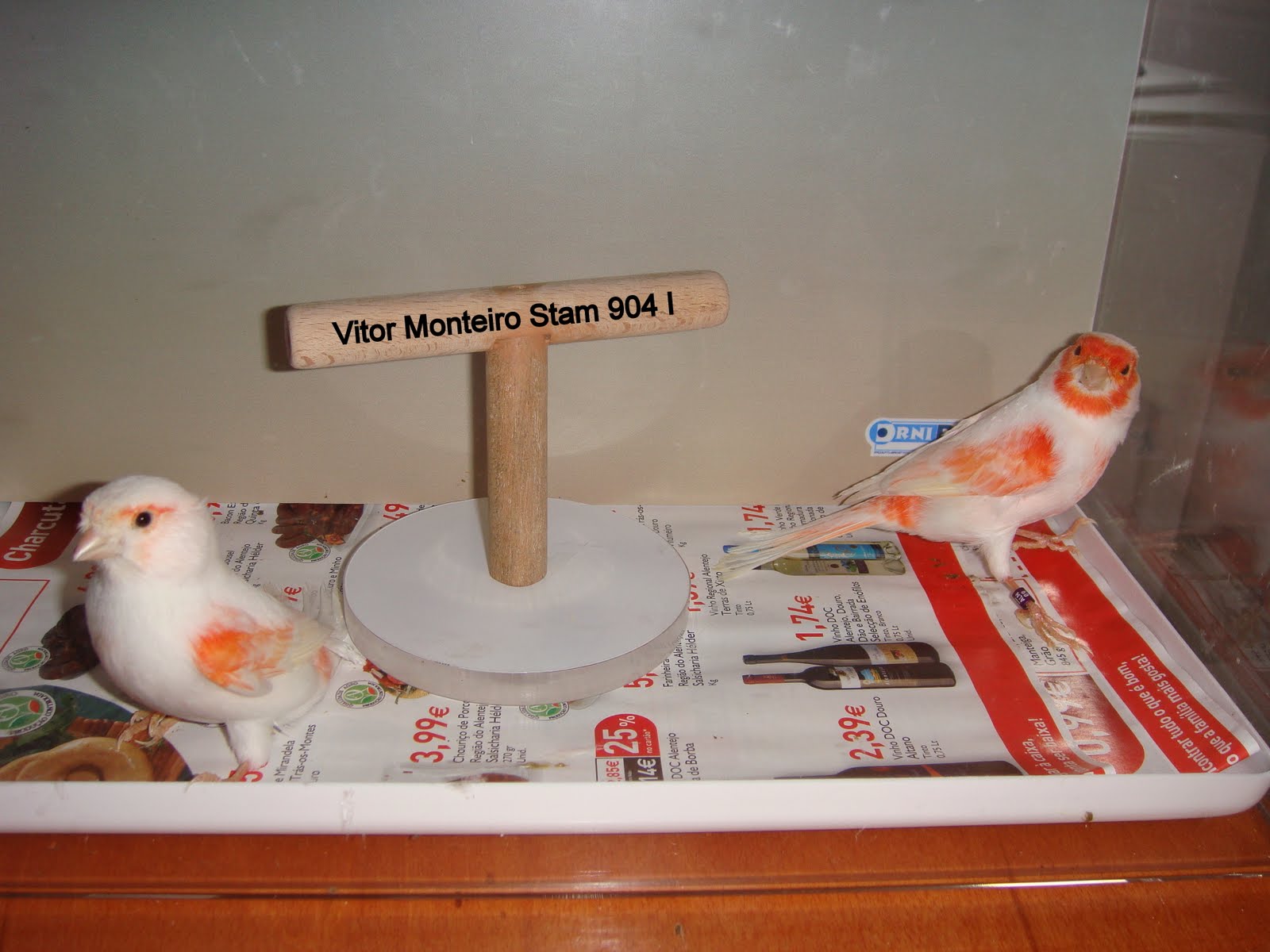 [DSC01611.JPG]