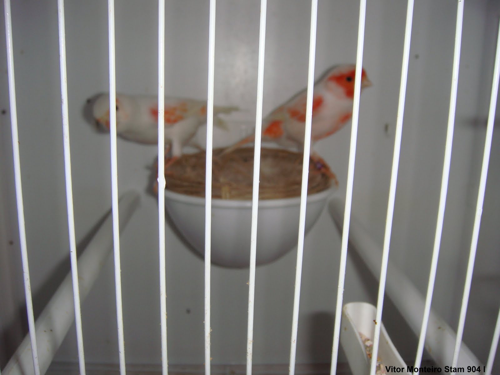 [DSC01682.JPG]
