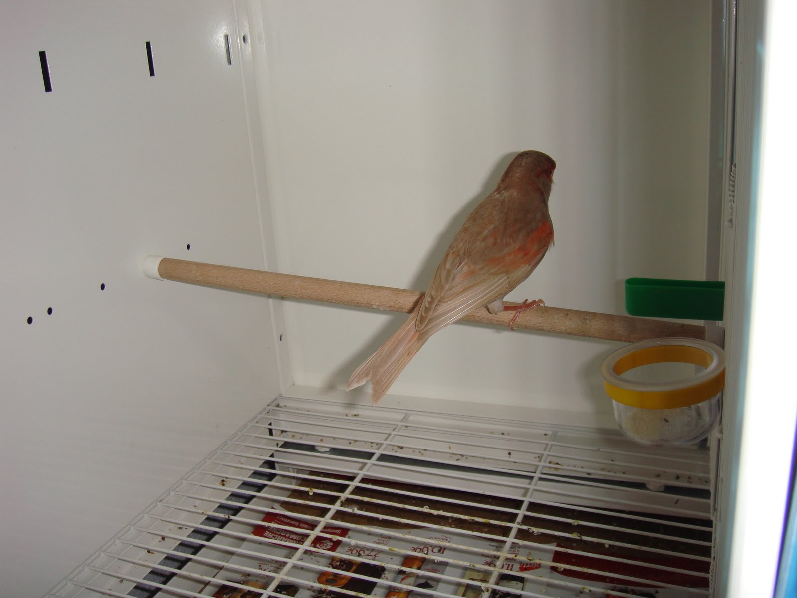 [DSC01345.JPG]