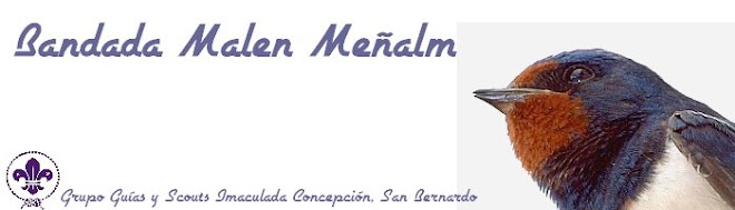 bandada malen meñalm